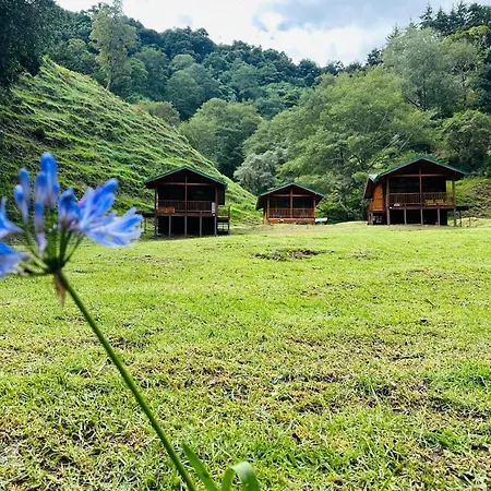 Entre Arboles Lodge San Gerardo de Dota Exterior photo