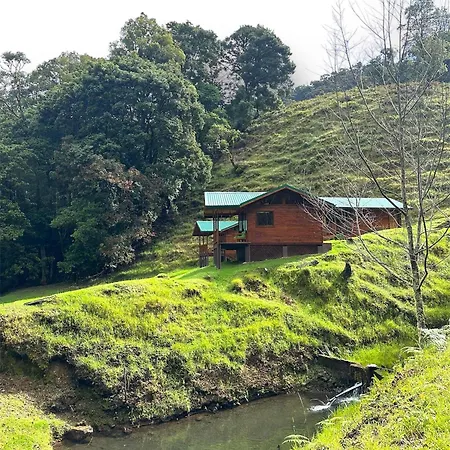 Entre Arboles Lodge San Gerardo de Dota Exterior photo