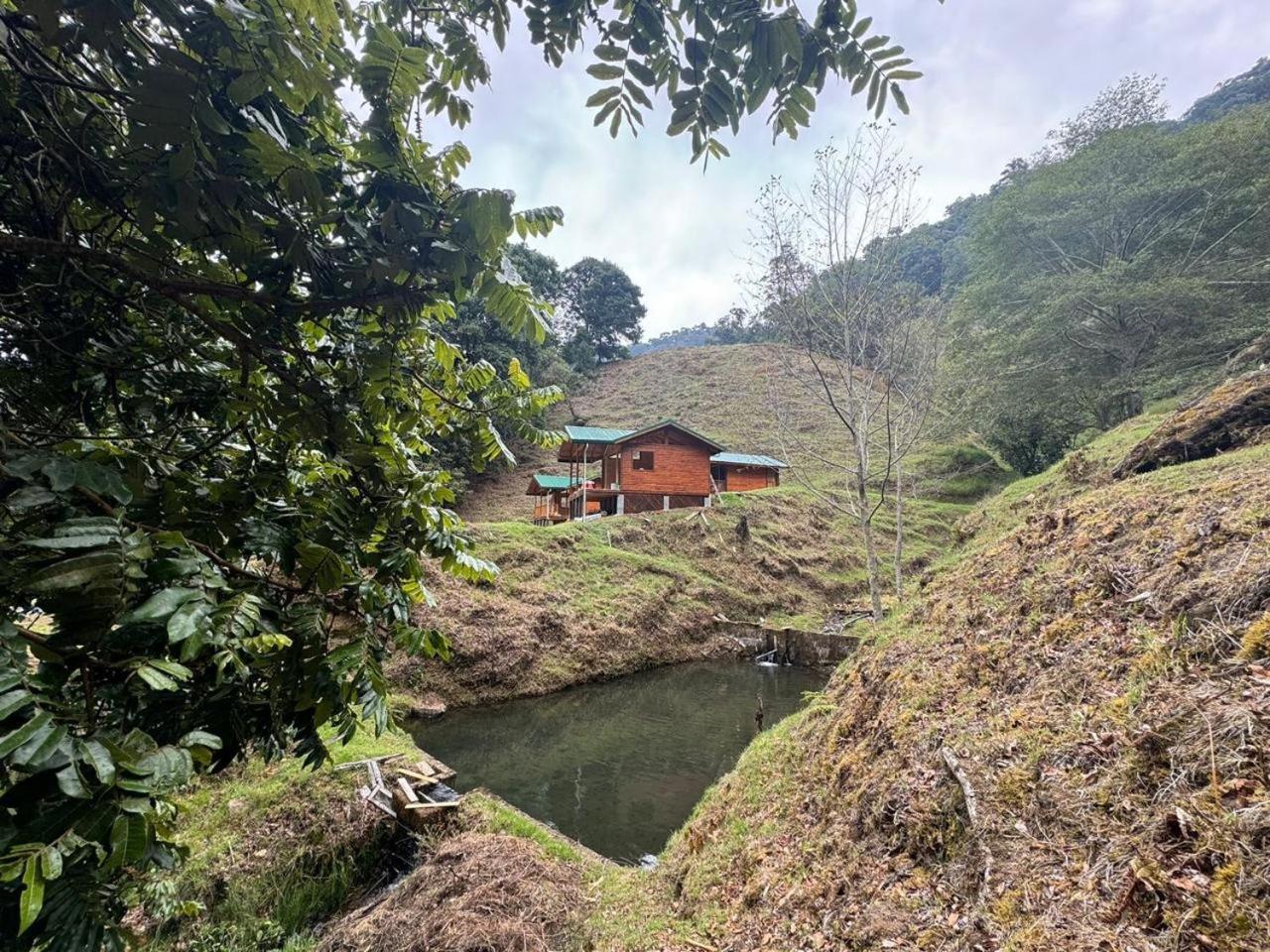 Entre Arboles Chalet San Gerardo de Dota