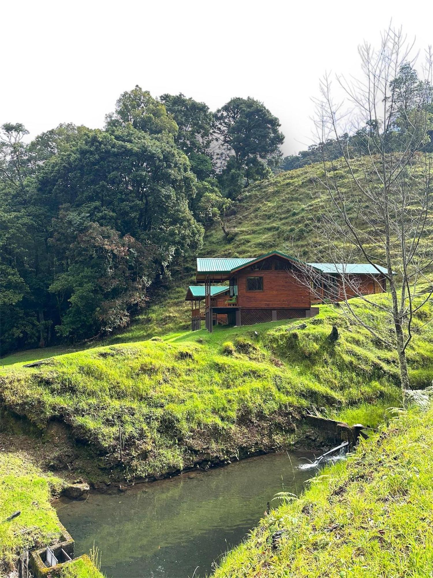 Chalet Entre Arboles
