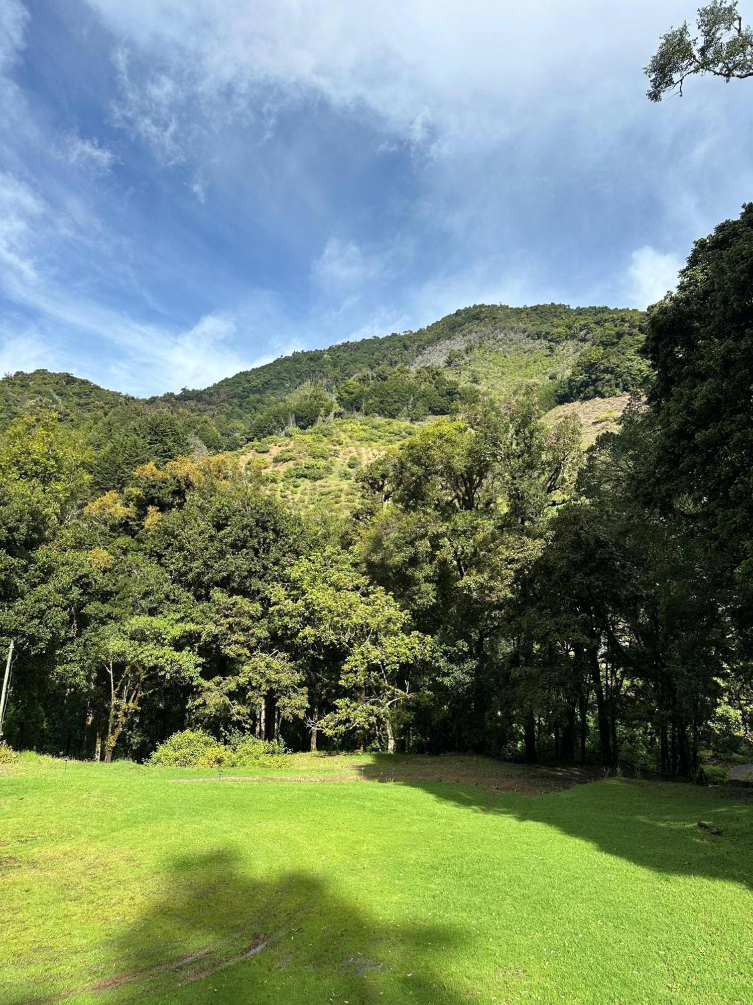 Entre Arboles Chalet San Gerardo de Dota