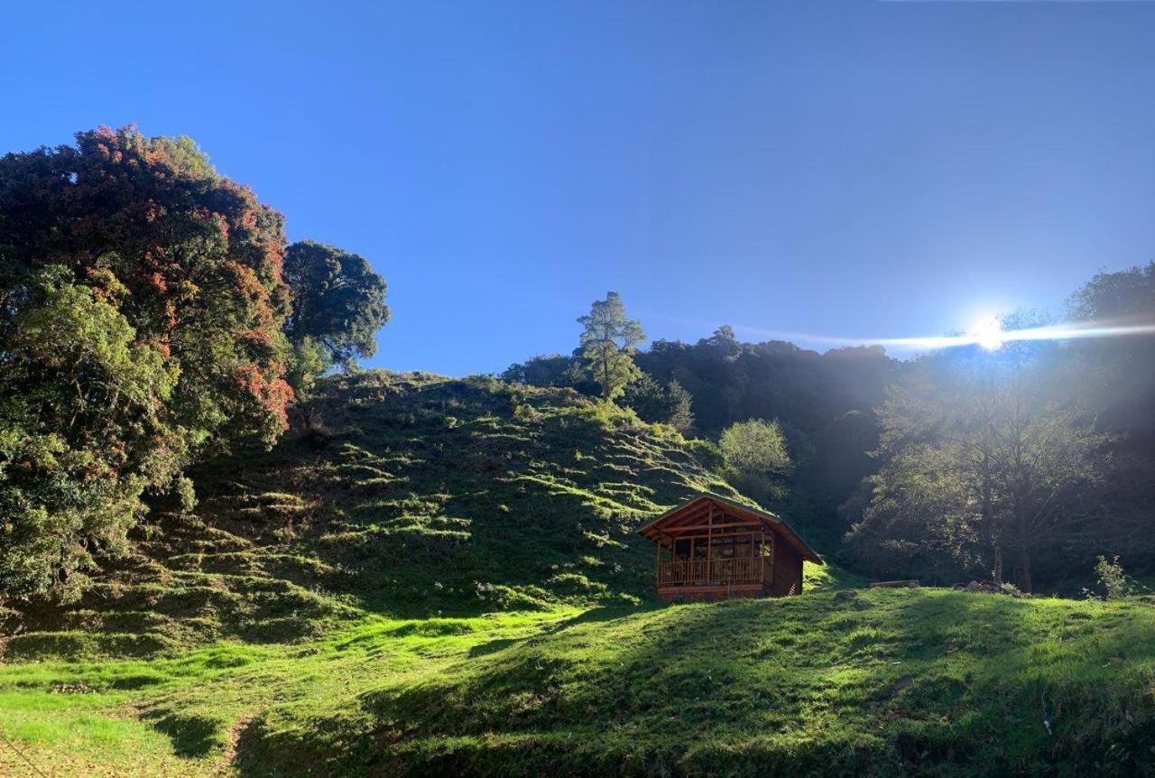 Entre Arboles Chalet