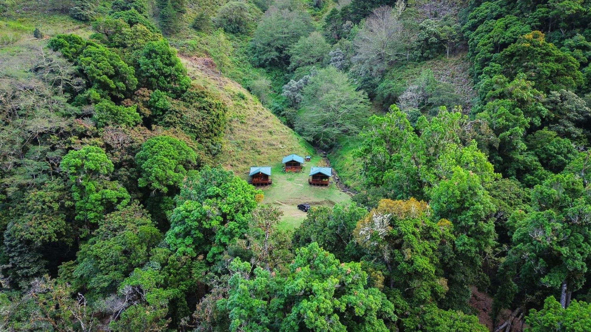 Entre Arboles Chalet San Gerardo de Dota