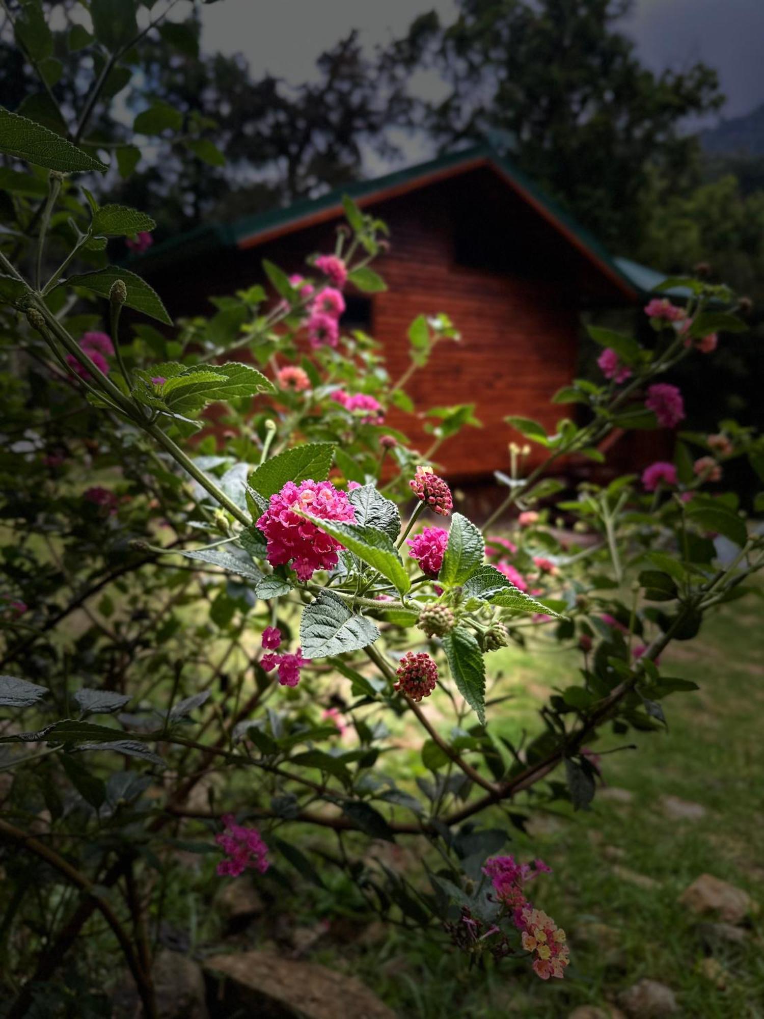 Entre Arboles Chalet